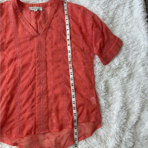 Olive & Oak Coral Sheer Blouse - Picture 8 of 9
